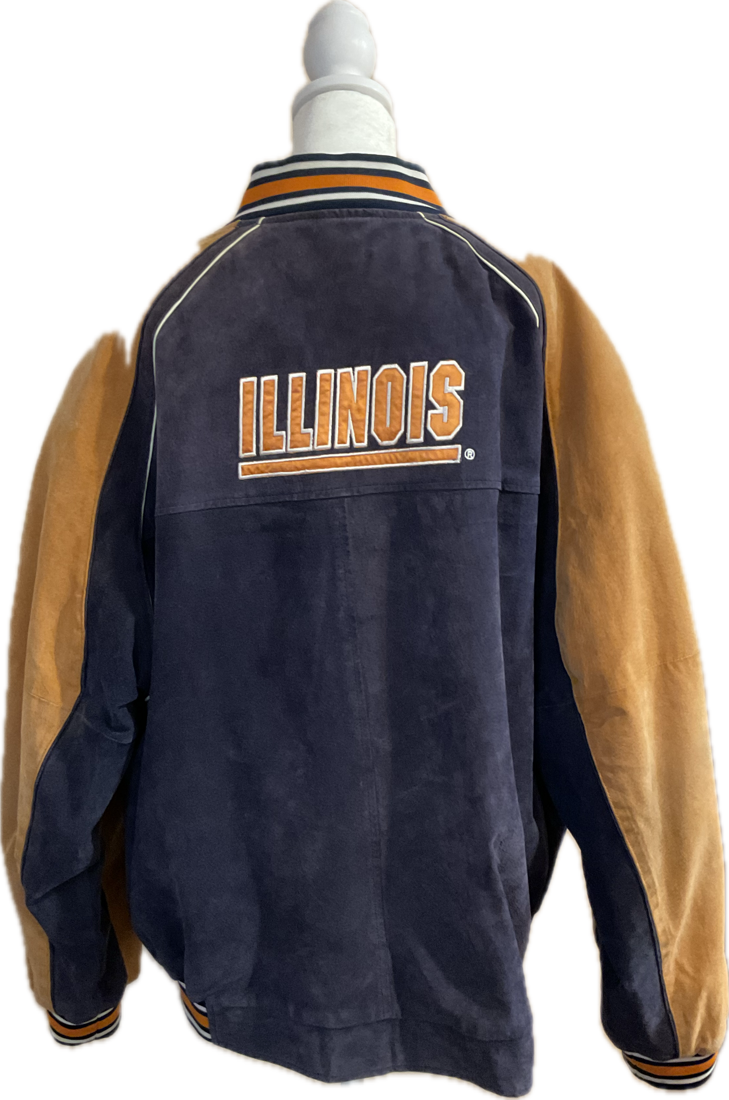 Vintage University of Illinois Leather Bomber Jacket