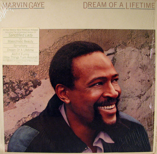 Marvin Gaye - Dream Of A Lifetime